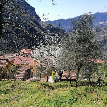 Il Metato Di Gallena Bed and Breakfast Stazzema Εξωτερικό φωτογραφία