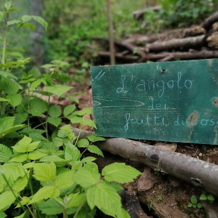 Il Metato Di Gallena Bed and Breakfast Stazzema Εξωτερικό φωτογραφία