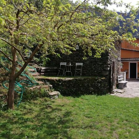 Il Metato Di Gallena Bed and Breakfast Stazzema Εξωτερικό φωτογραφία