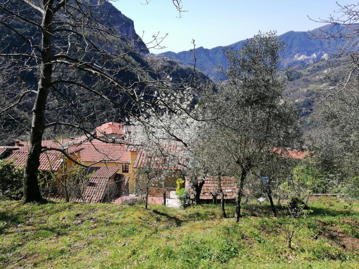 Il Metato Di Gallena Bed and Breakfast Stazzema Εξωτερικό φωτογραφία