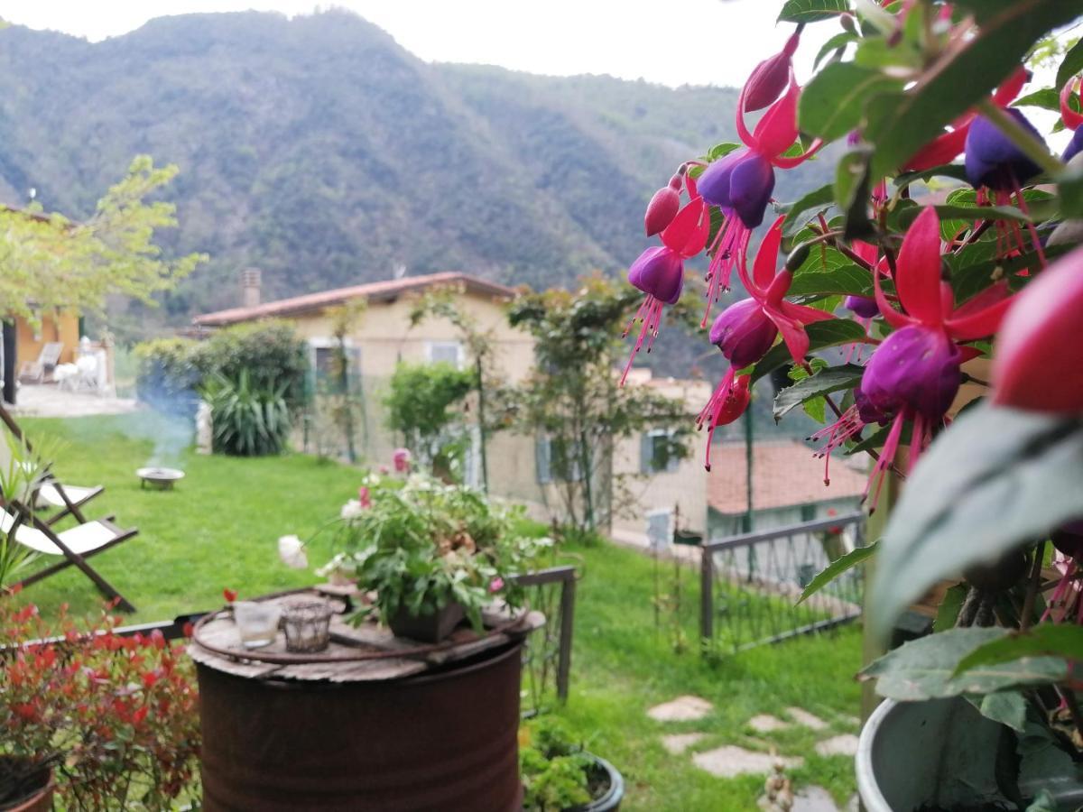 Il Metato Di Gallena Bed and Breakfast Stazzema Εξωτερικό φωτογραφία