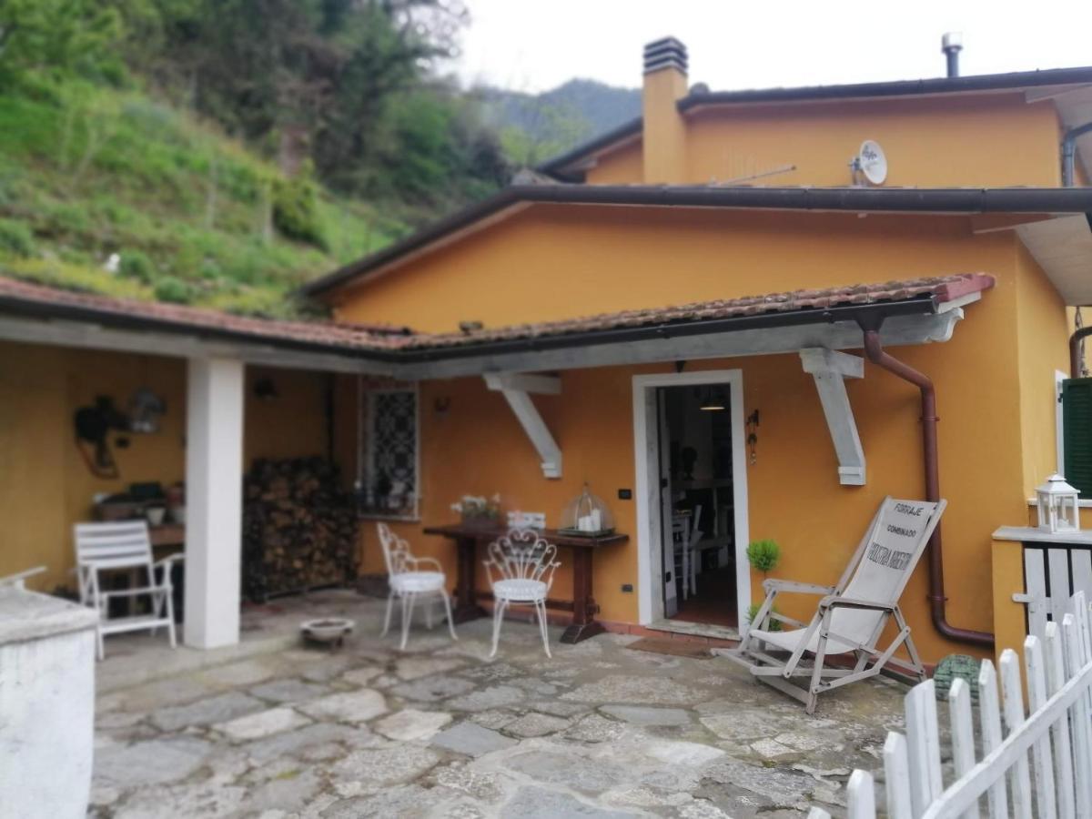Il Metato Di Gallena Bed and Breakfast Stazzema Εξωτερικό φωτογραφία