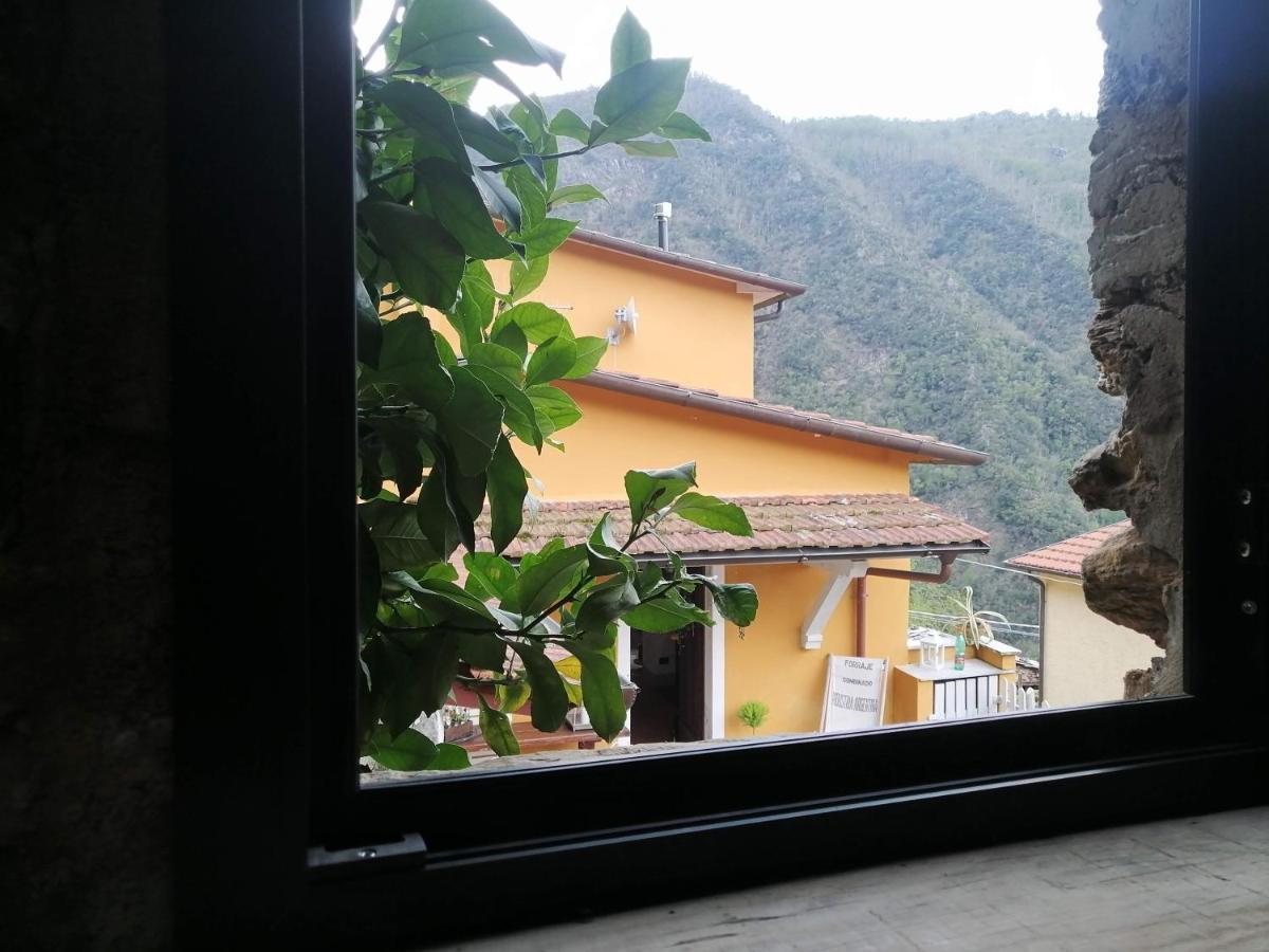 Il Metato Di Gallena Bed and Breakfast Stazzema Εξωτερικό φωτογραφία
