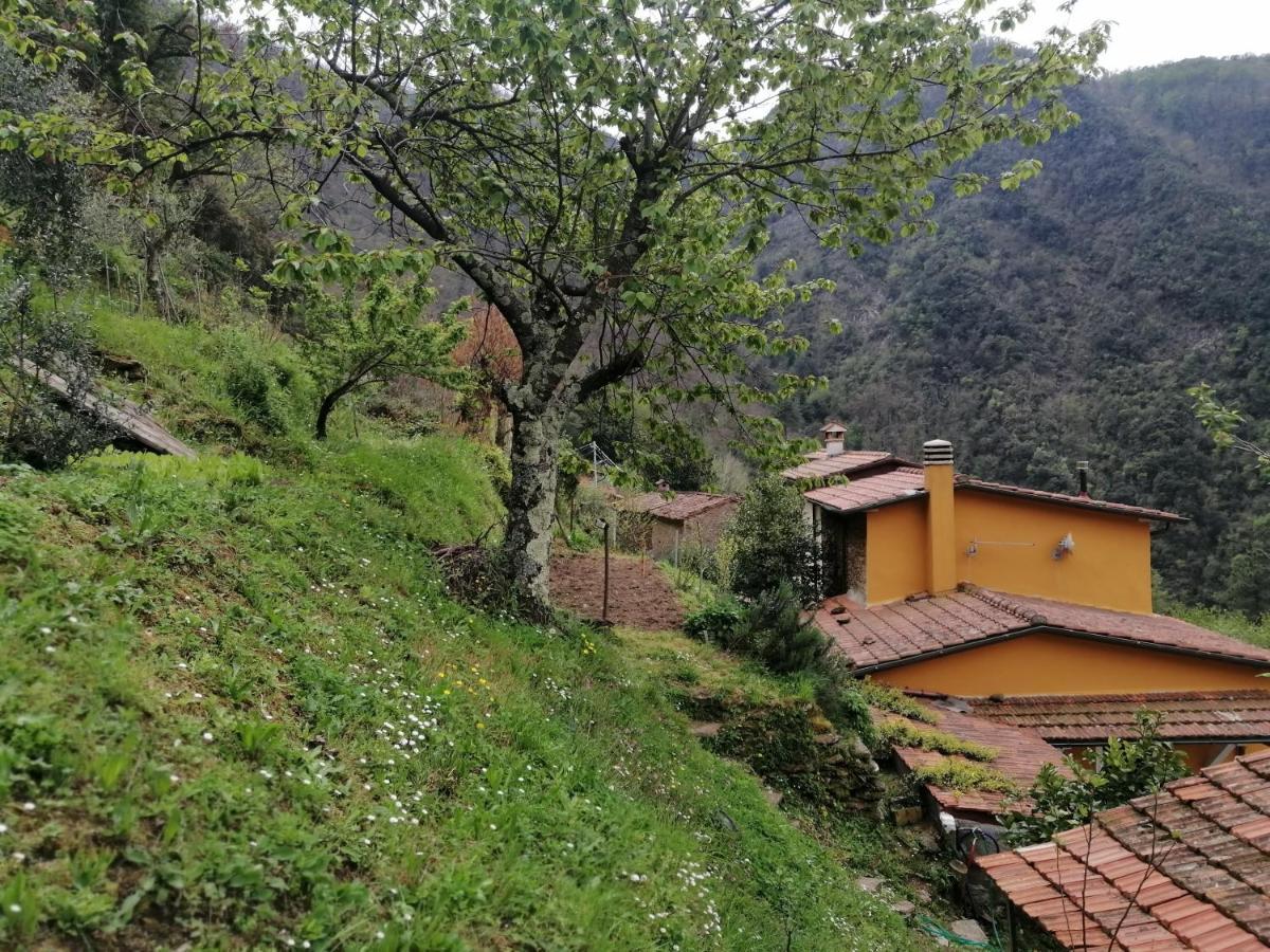 Il Metato Di Gallena Bed and Breakfast Stazzema Εξωτερικό φωτογραφία