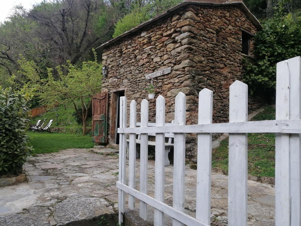 Il Metato Di Gallena Bed and Breakfast Stazzema Εξωτερικό φωτογραφία
