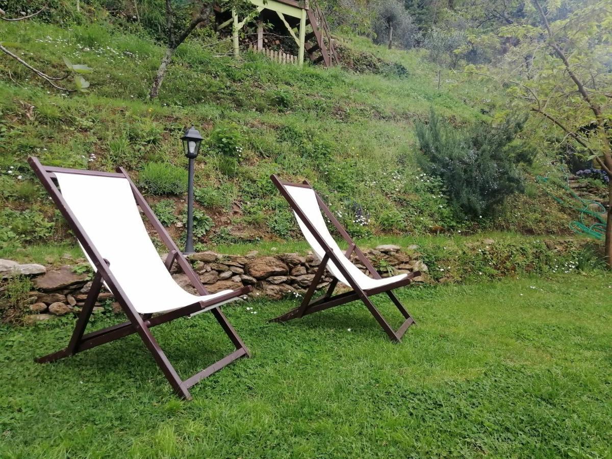 Il Metato Di Gallena Bed and Breakfast Stazzema Εξωτερικό φωτογραφία