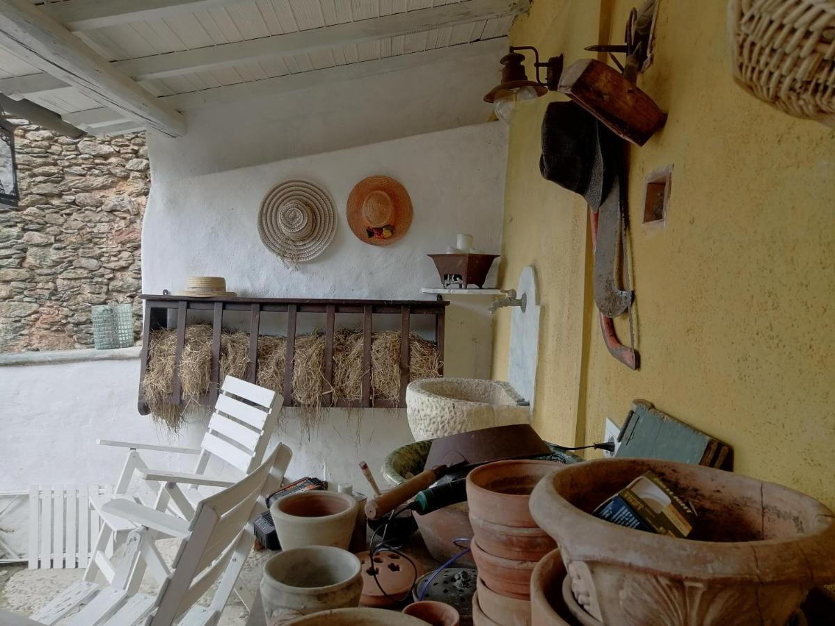Il Metato Di Gallena Bed and Breakfast Stazzema Εξωτερικό φωτογραφία